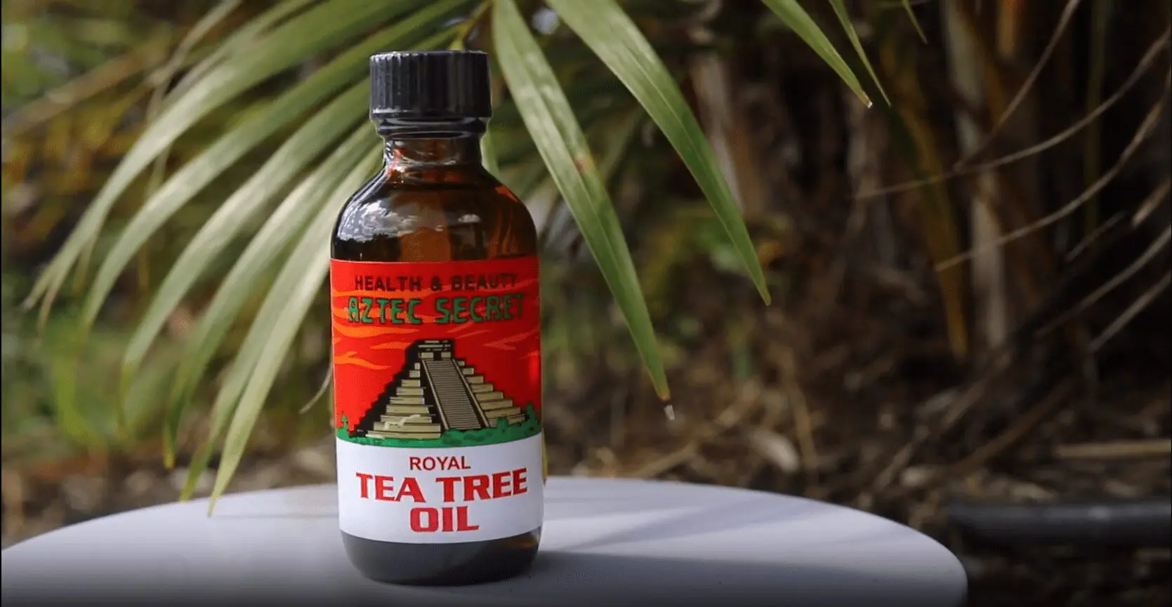 Screenshot (4)-min Royal Tea tree Oil | Aztec Secrete Health and beauty